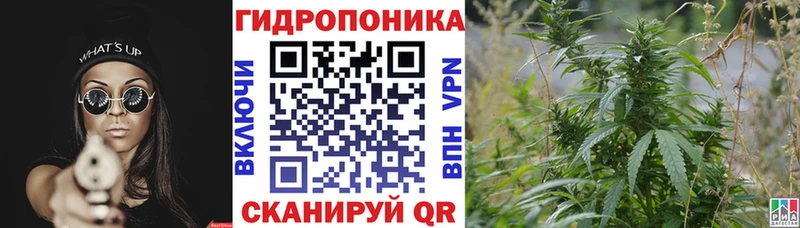 Купить где  Уссурийск  Конопля Ganja 